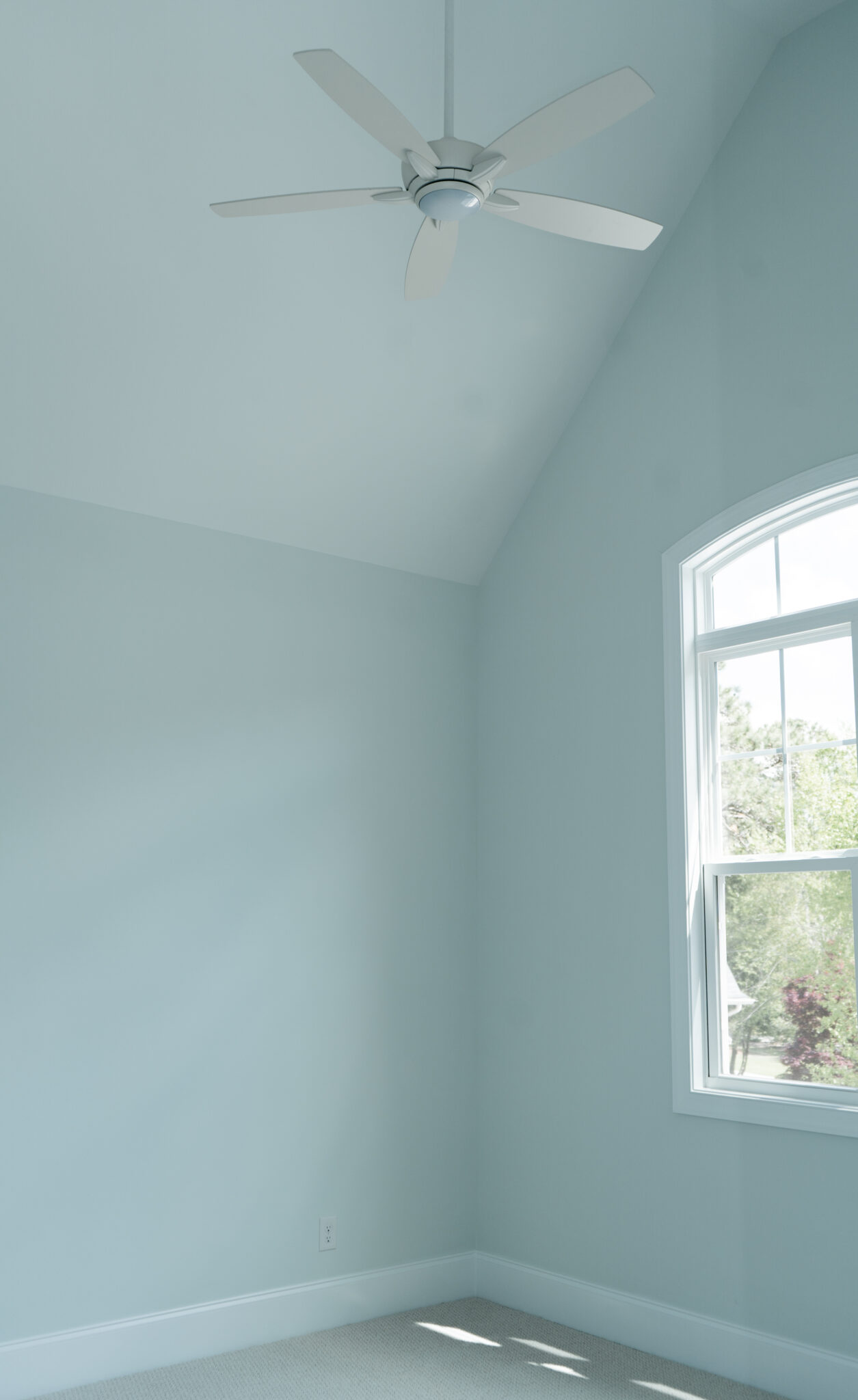 Coleman Fine Homes