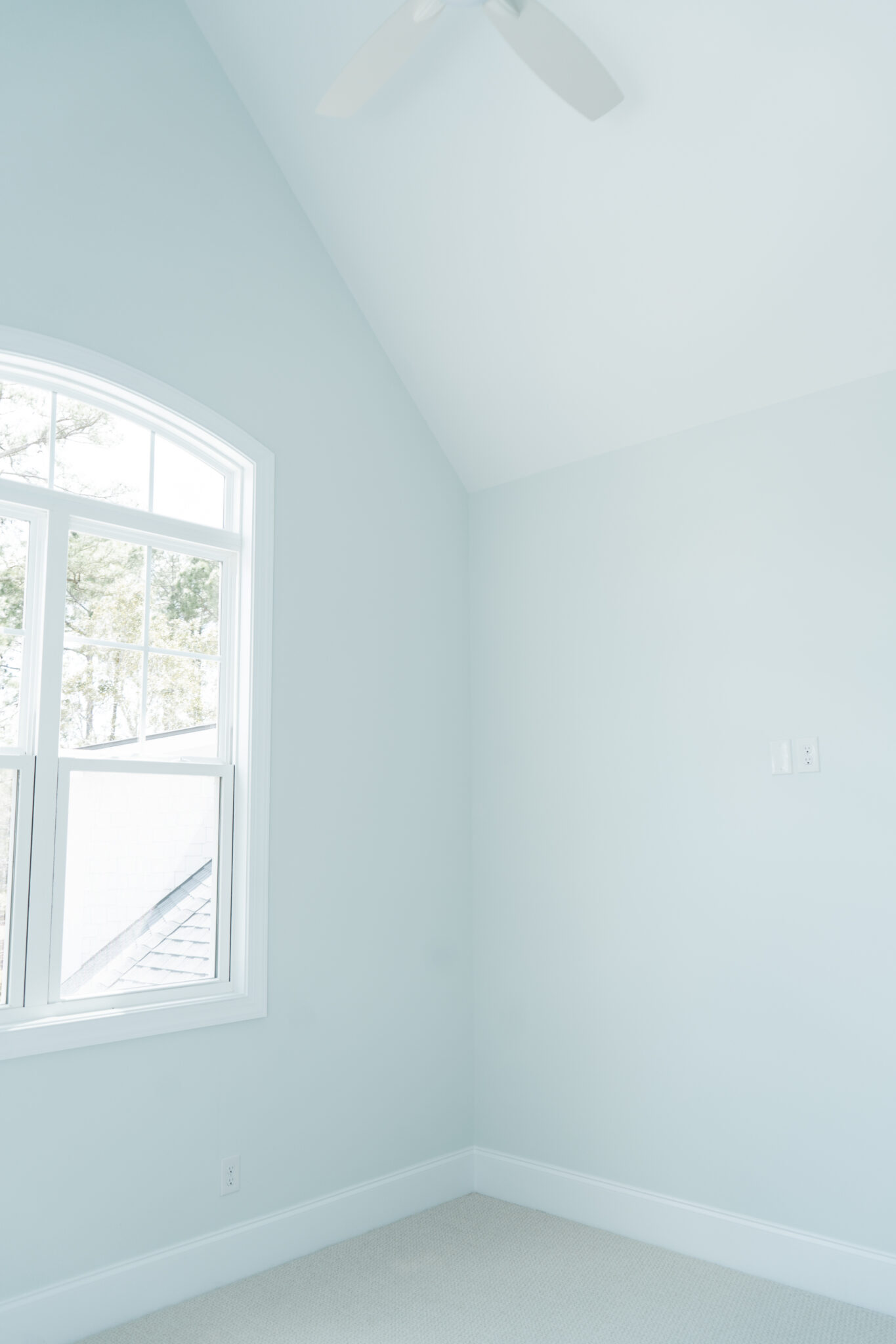 Coleman Fine Homes